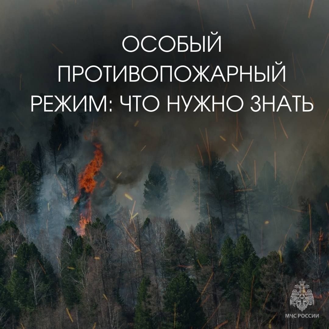 Что важно знать об особом противопожарном режиме рассказали в карточках, подготовленных МЧС России.